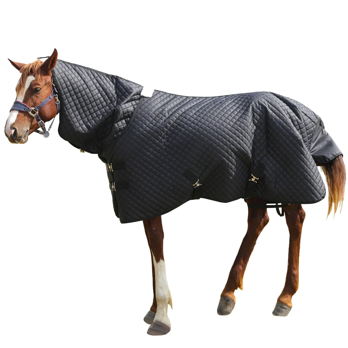 HOMBYS Combo Neck Winter Horse Blanket Horse Turnout Blanket Waterproof Horse Blanket for Real Horse75 inch Horse Sheet600D High Density Black Quilted Horse Blanket
