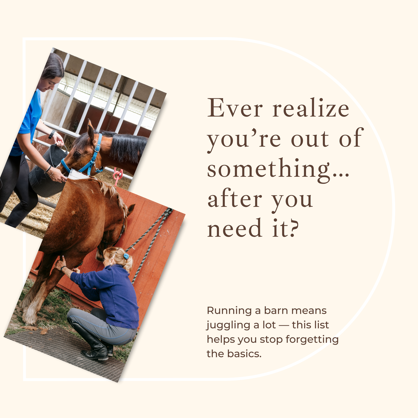 Top 25 Barn Supplies You Should Never Run Out Of