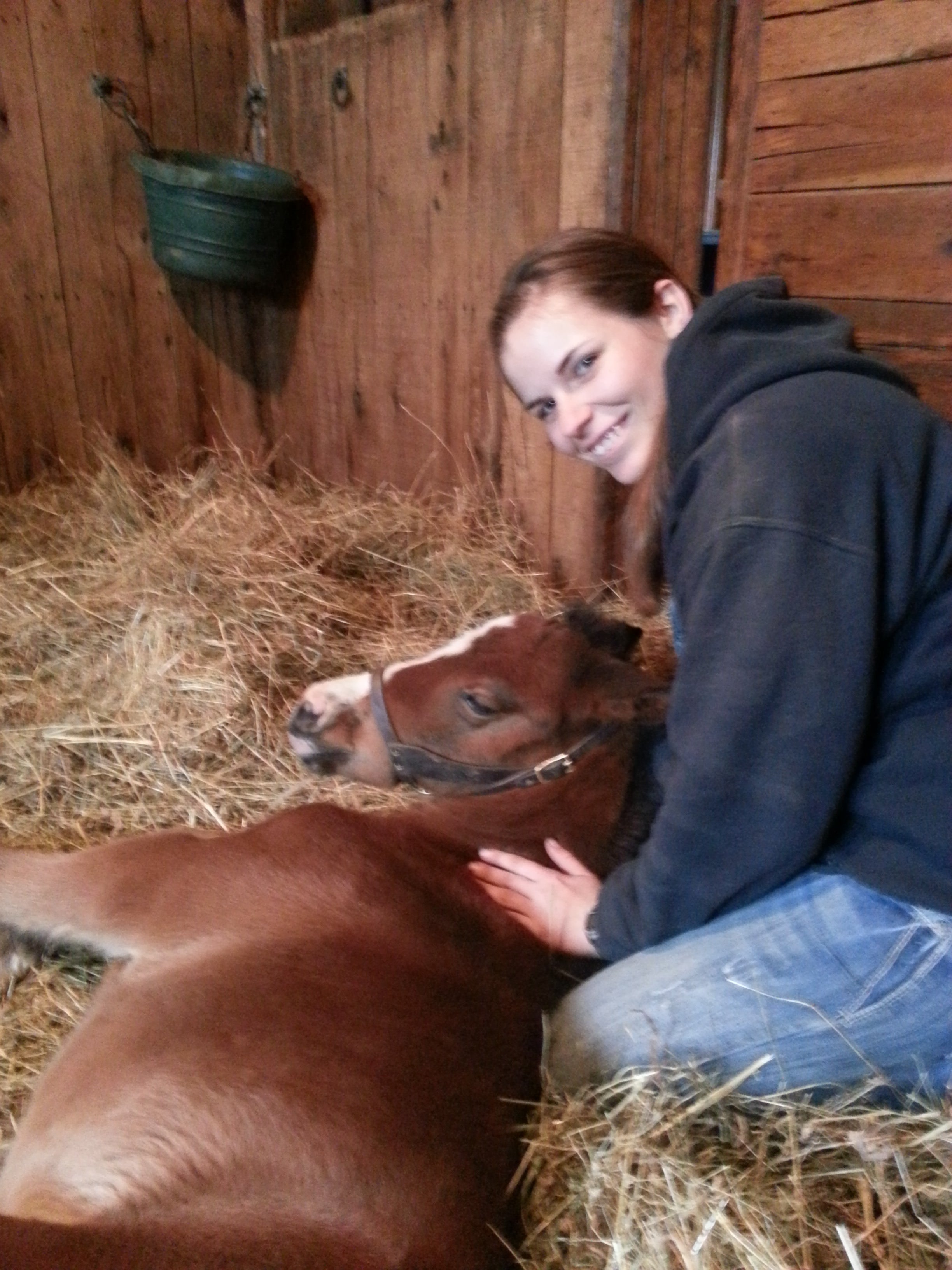 Woman petting a horse in a stable
