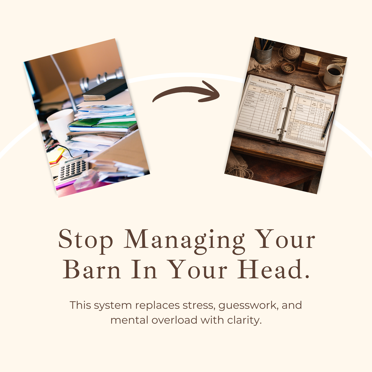 Full Equine Barn Supply Management Bundle