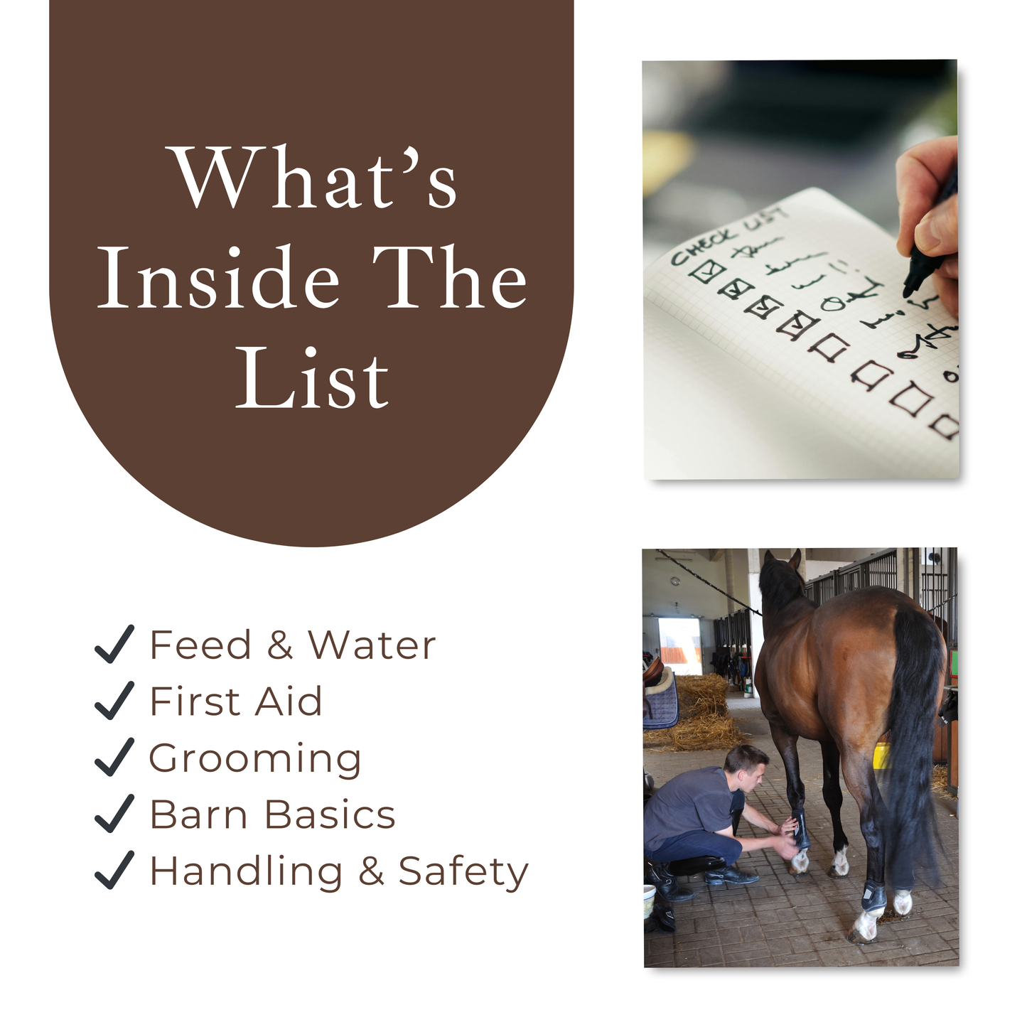 Top 25 Barn Supplies You Should Never Run Out Of