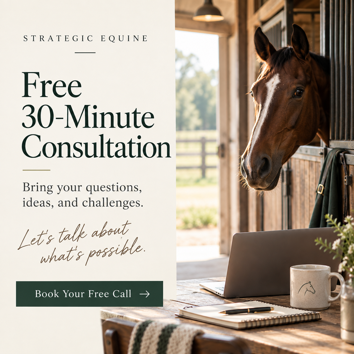 Free 30-Minute Business Consultation