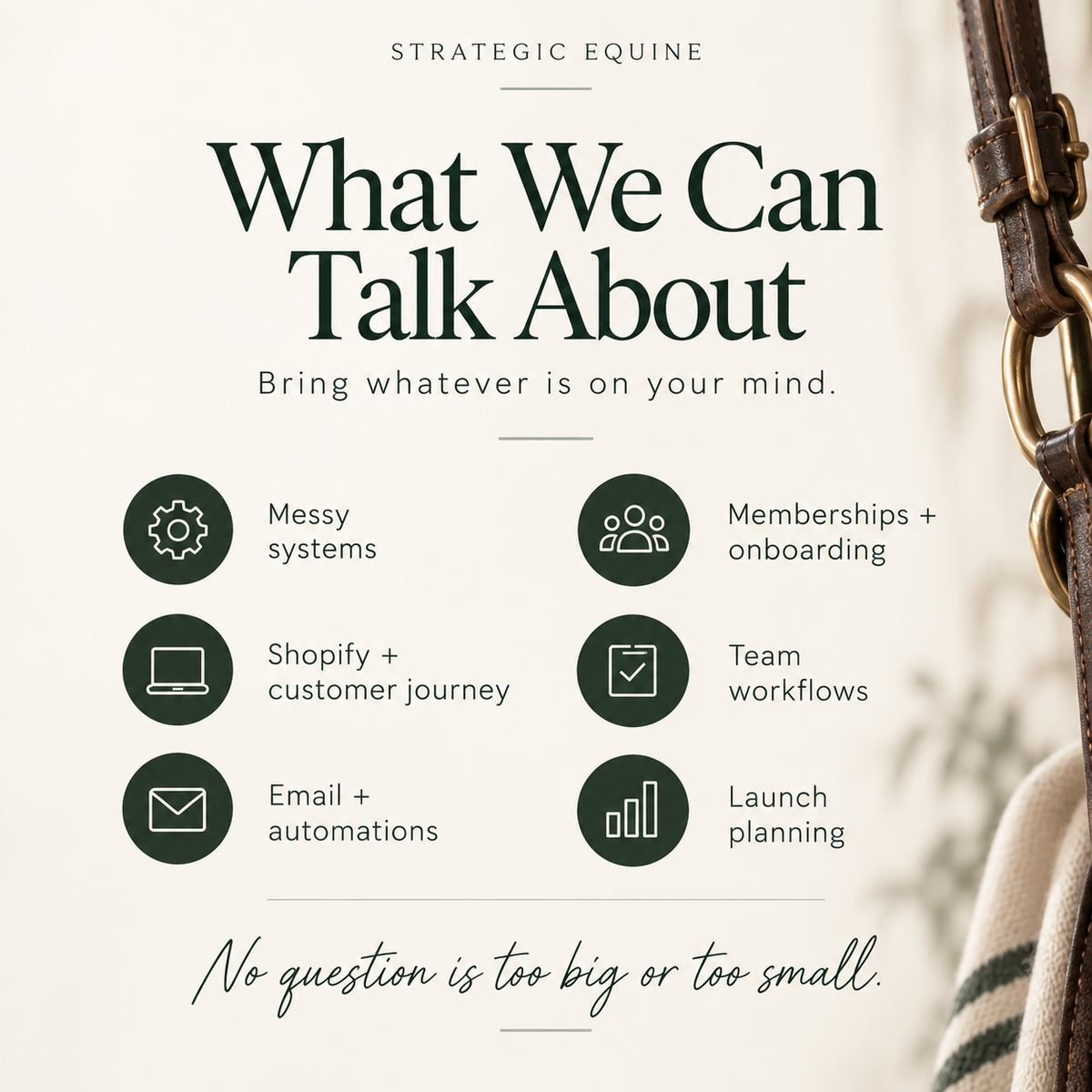 Free 30-Minute Business Consultation