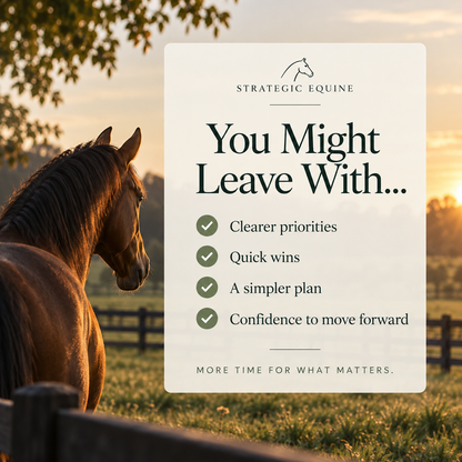 Free 30-Minute Business Consultation