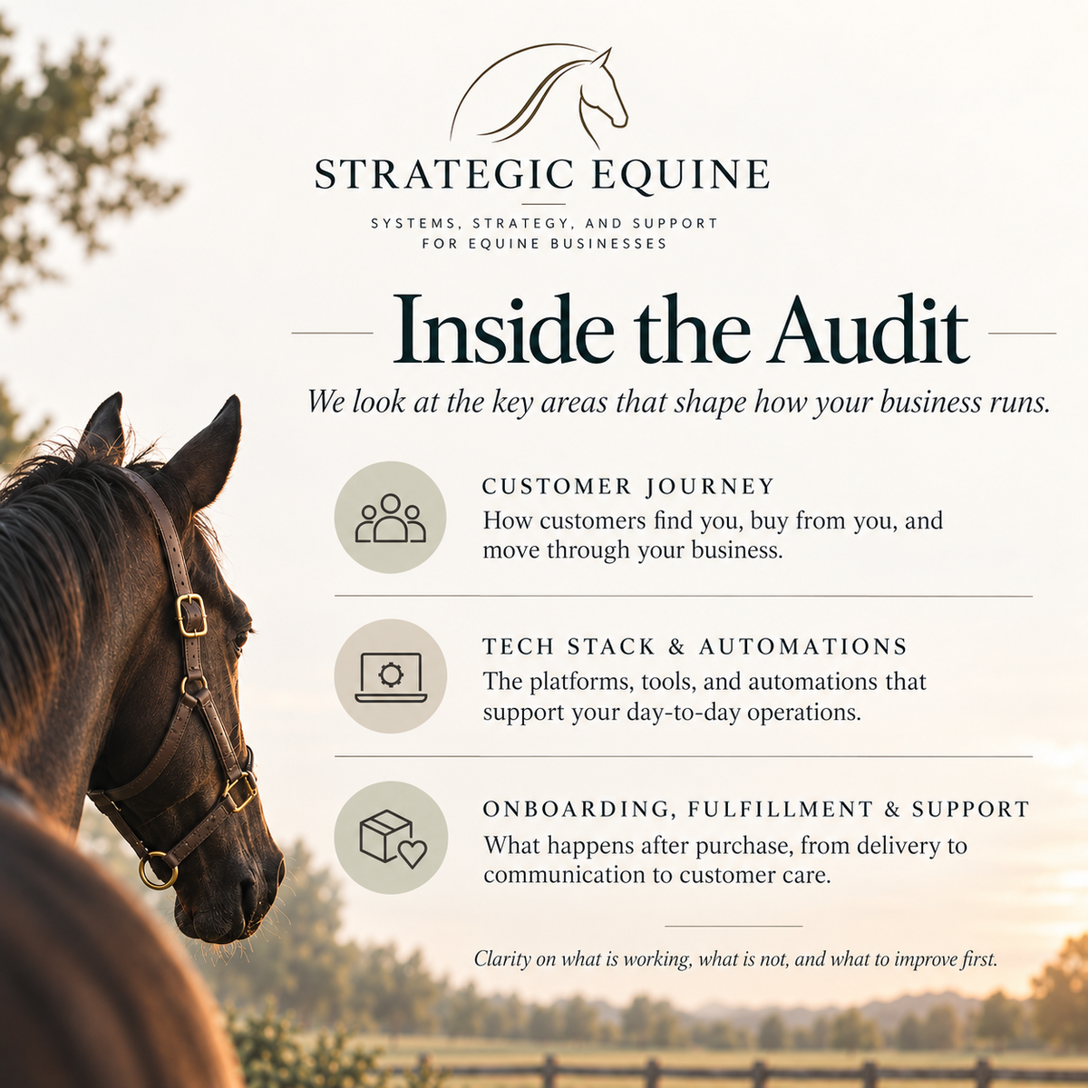 Business Systems Audit