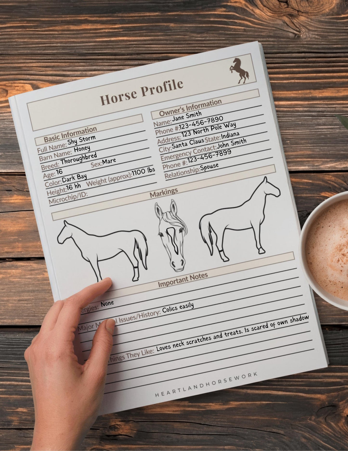 Horse Health Record Bundle | Printable Horse Care Tracker | Barn Management Binder Pages