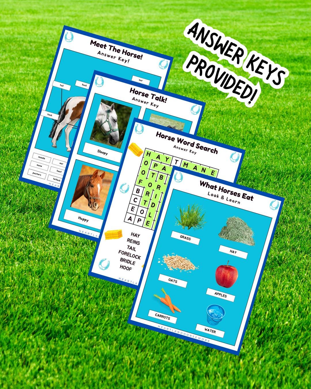 Horse Activity Pages for Kids: Educational Printables Ages 4-8 (PDF Download)