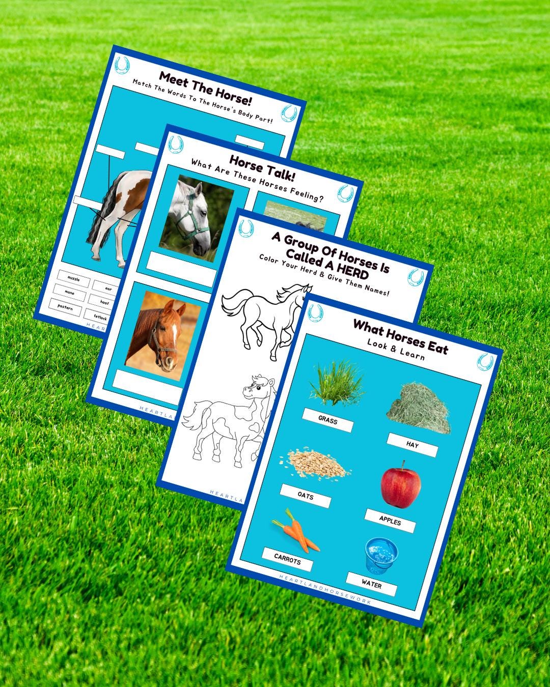 Horse Activity Pages for Kids: Educational Printables Ages 4-8 (PDF Download)
