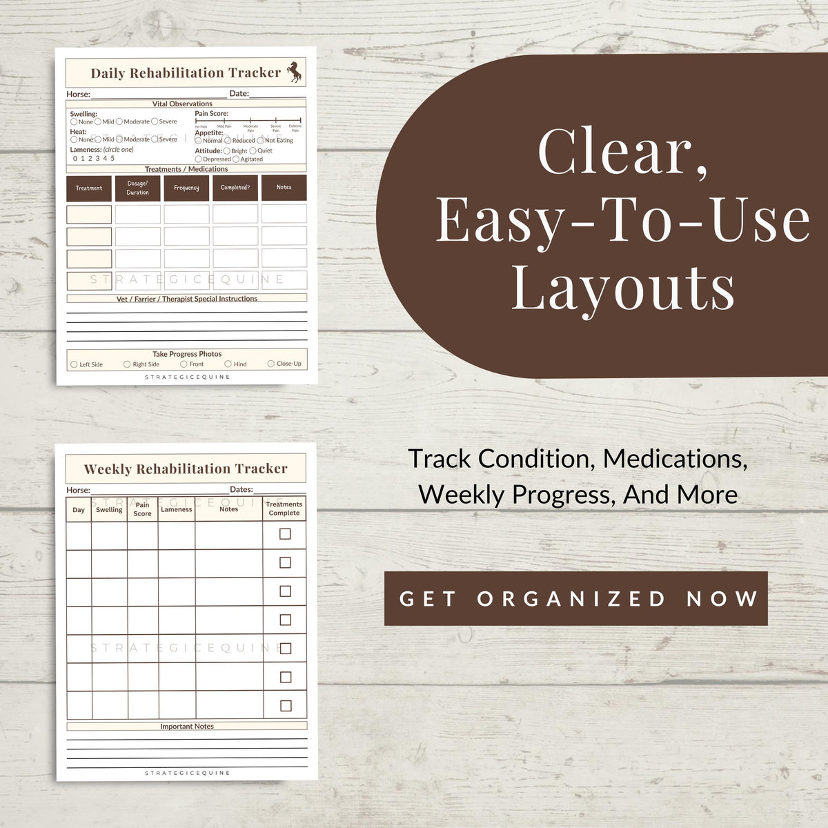 Horse Rehabilitation Tracker | Daily & Weekly Treatment Logs (Printable PDF)