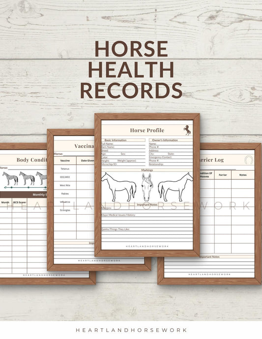 Horse Health Record Bundle | Printable Horse Care Tracker | Barn Management Binder Pages