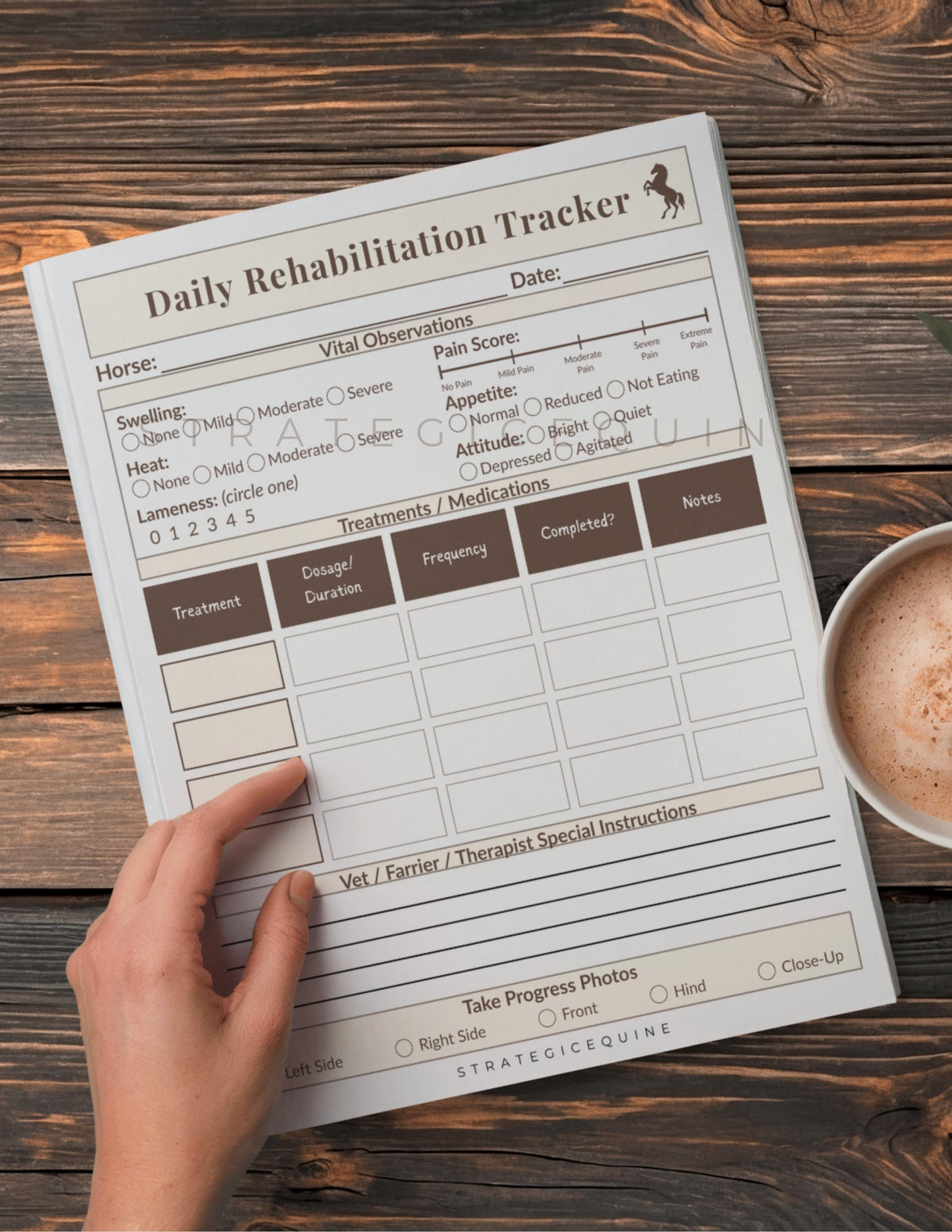 Horse Rehabilitation Tracker | Daily & Weekly Treatment Logs (Printable PDF)
